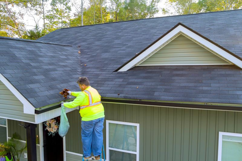Gutter Cleaning and Inspection